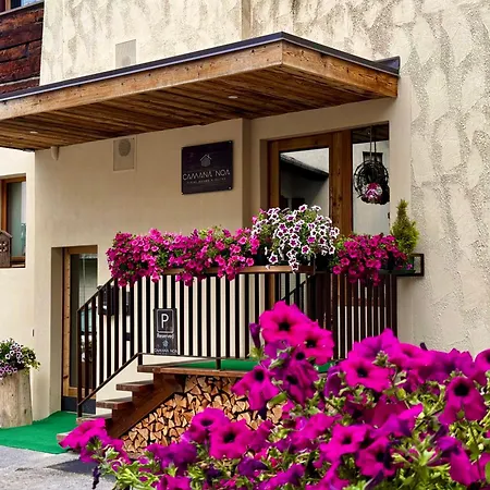 Alpine And - Camana Noa - فندق مبيت وإفطار ليفينو