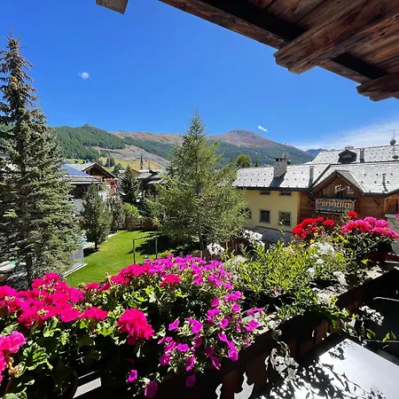 Alpine And - Camana Noa - Panzió Livigno